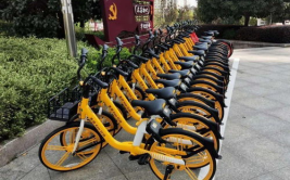 仙桃单车小姐姐,街头风景线，绿色出行新风尚