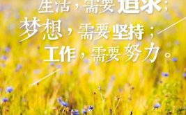 写真正能量,塑造美好人生